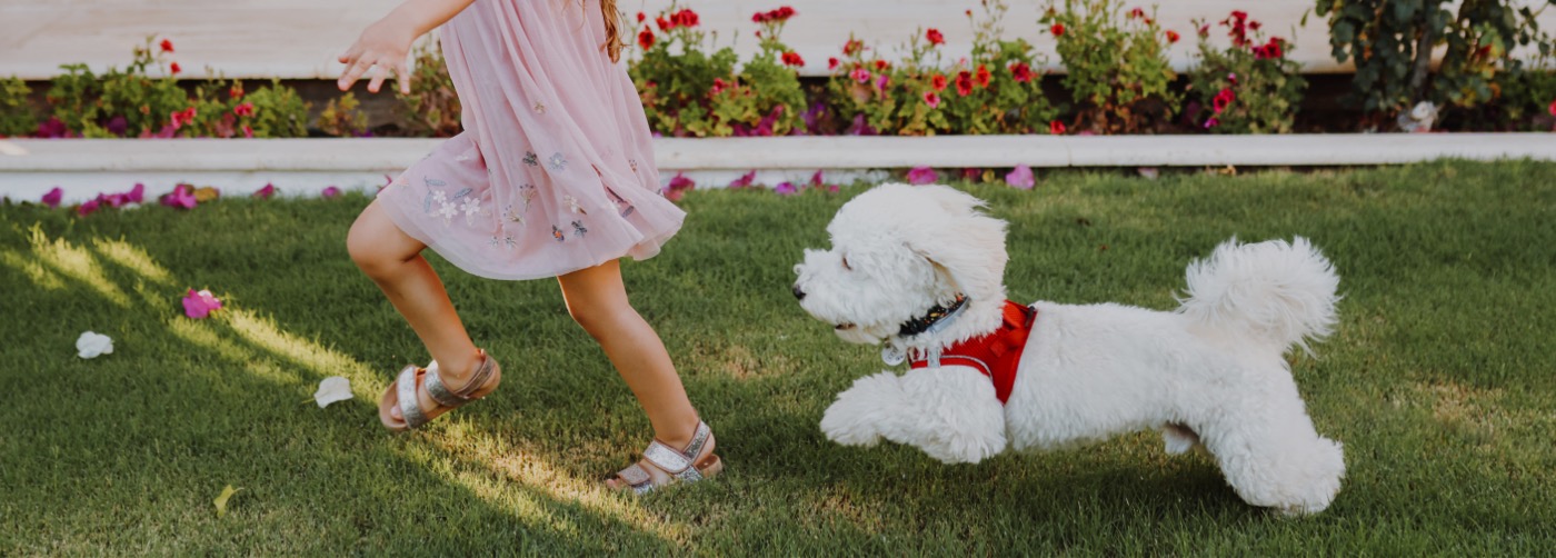 DogWatch of Acadiana, Youngsville, Louisiana | Outdoor Hidden Dog Fences Slider Image